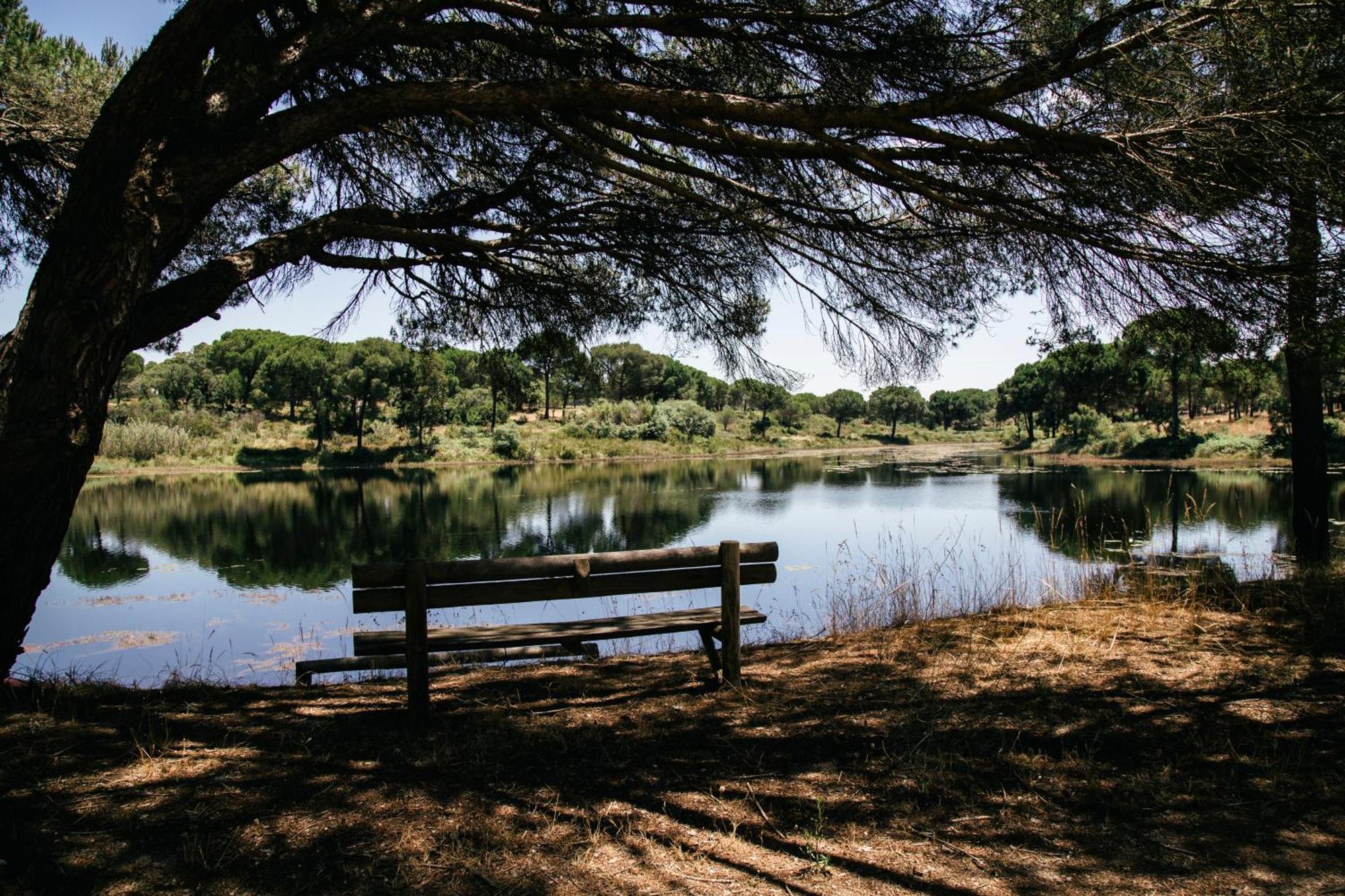 Herdade De Montalvo - Comporta Exterior foto