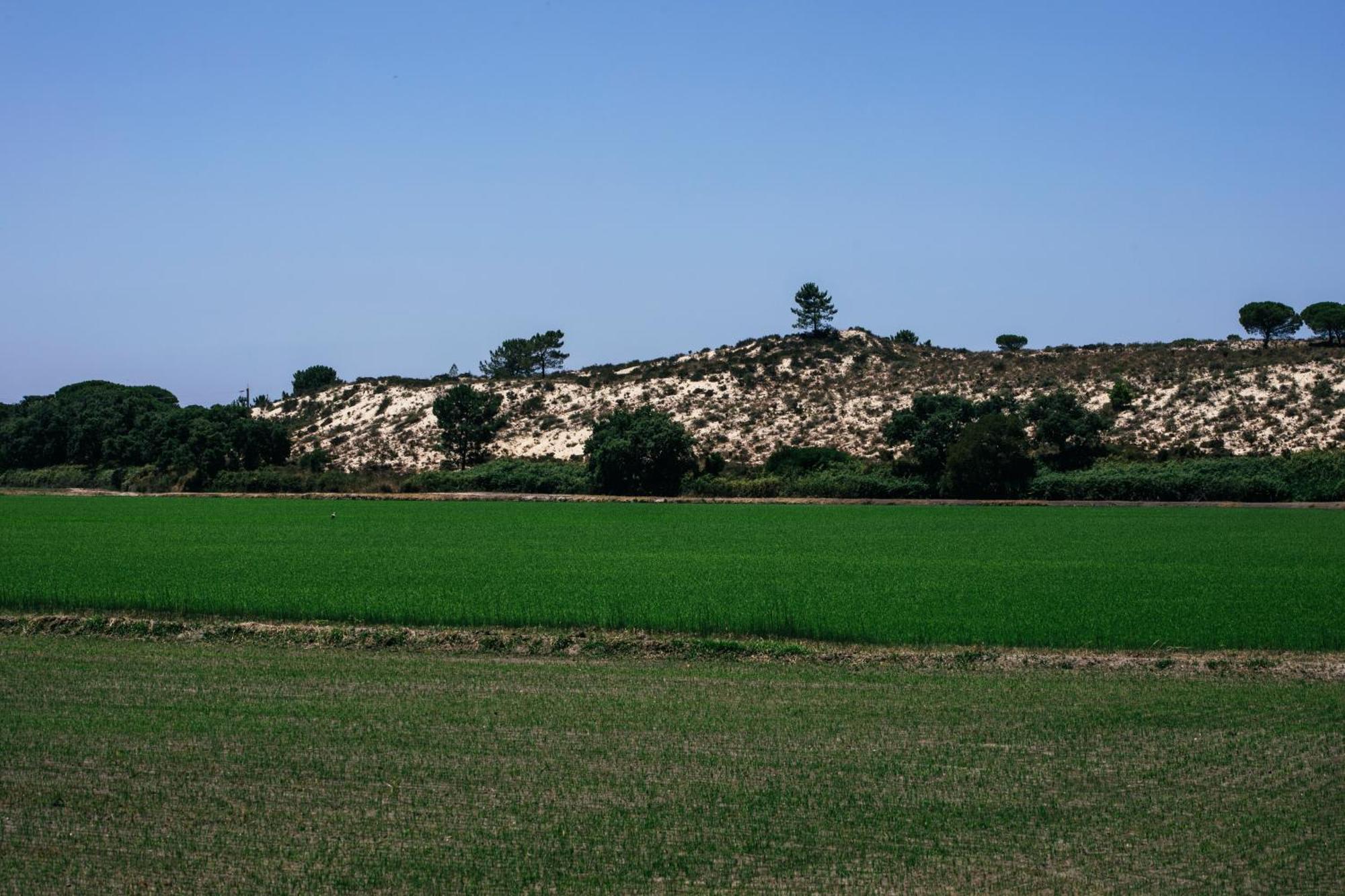 Herdade De Montalvo - Comporta Exterior foto